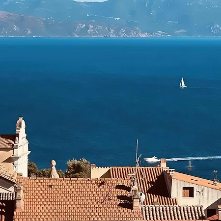Apartment Solacargese-grand Large- Panoramic Sea View Heart Of *